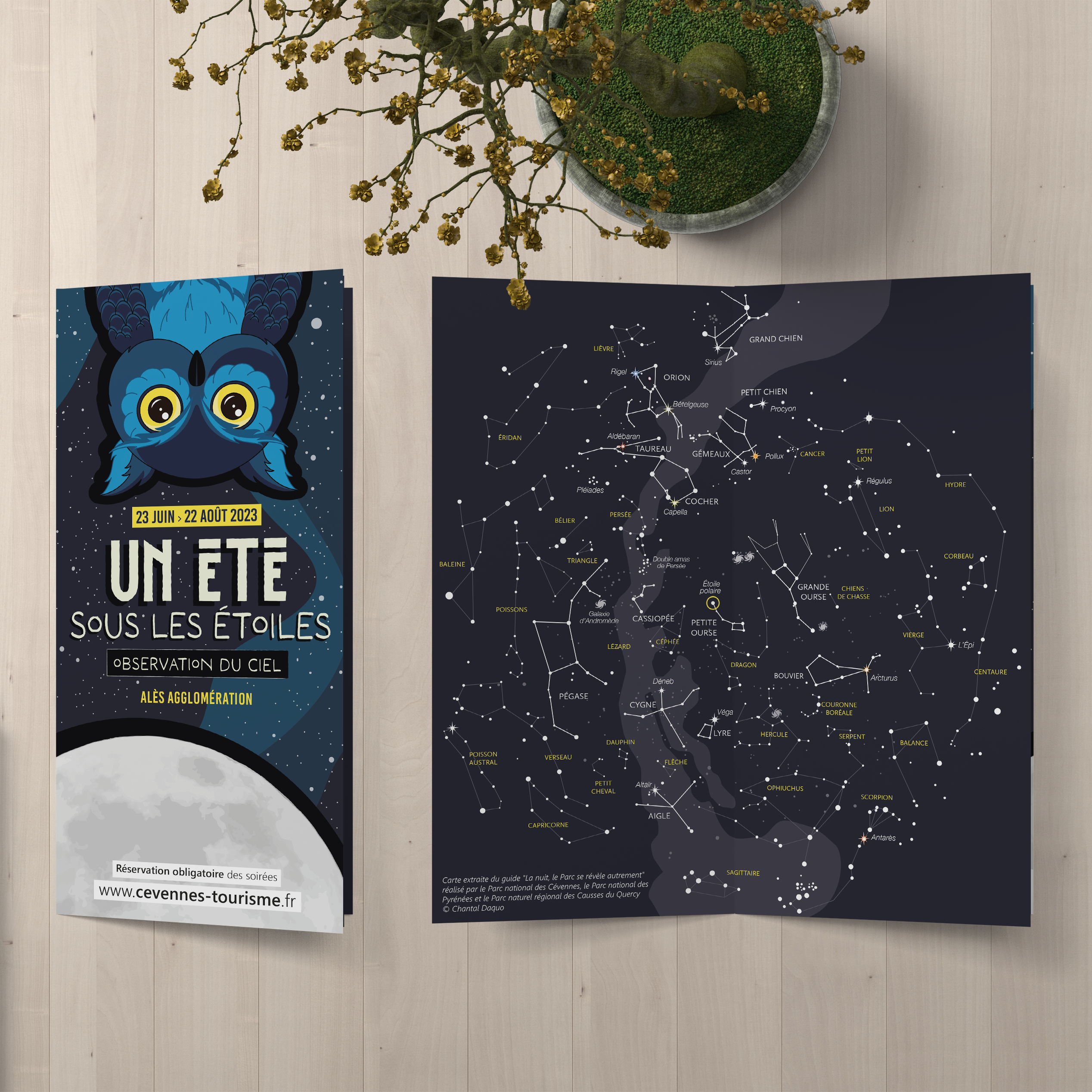 Depliant du programme Un été sous les étoiles